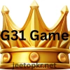 G31 Game